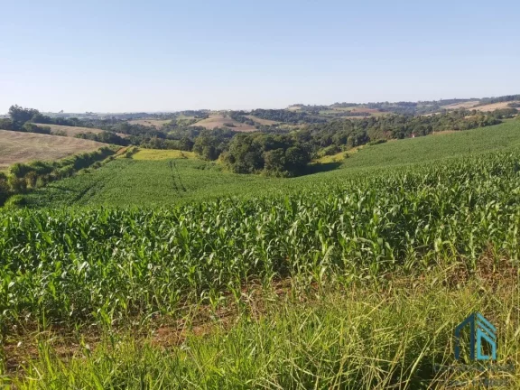 Imagem Sítio com 121.000 mil m² a venda, com Infra estrutura, no IRETEMA /Campo Mourão PR