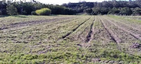 Imagem Terreno em Lageado