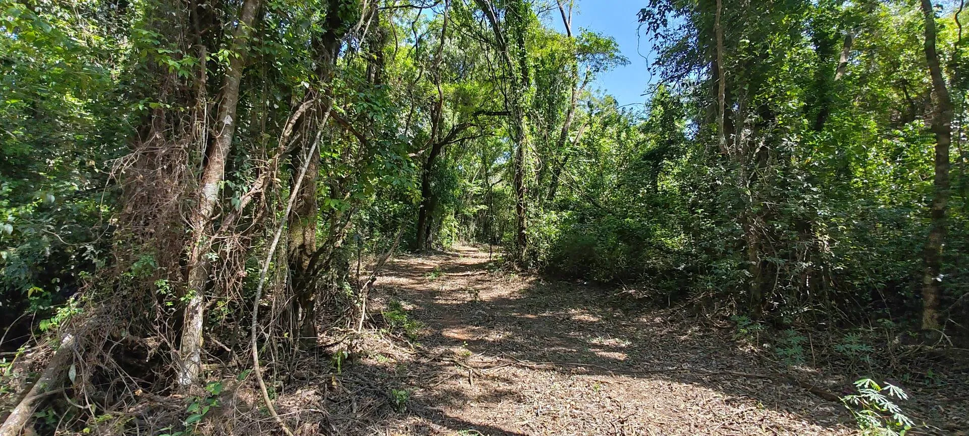 Imagem Chácara a venda em Cascavel, com 2,0992 hectare cada uma e matrícula indiviauais.