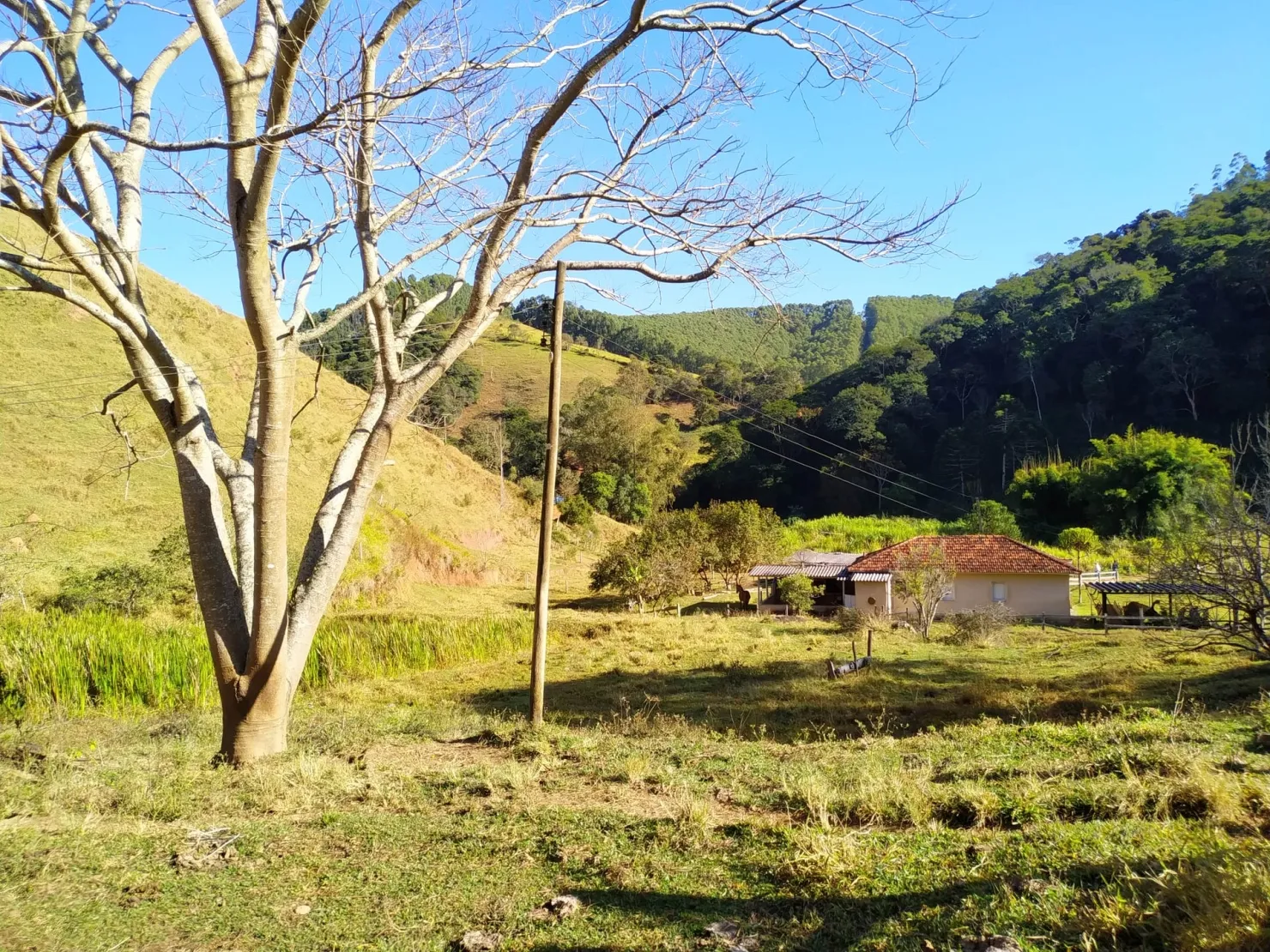 Imagem Chácara à venda 3 Quartos, 36000M², Zona Rural, Cunha - SP