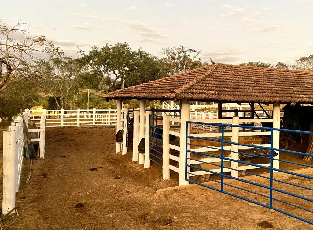Imagem FAZENDINHA PORTEIRA FECHADA À VENDA - CARMO DO CAJURU (MG) 37 hectares de área total