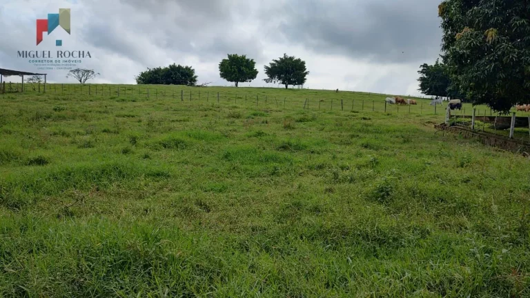 Imagem Fazenda região Itapetininga SP