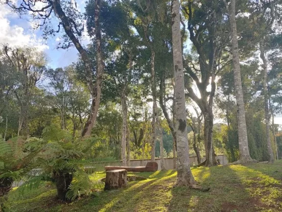 Imagem Terreno para venda no bairro Pedancino em Caxias do Sul