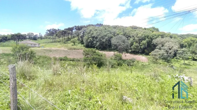 Terreno/área a venda, 20 Hectares em São Roque, Flores da Cunha RS