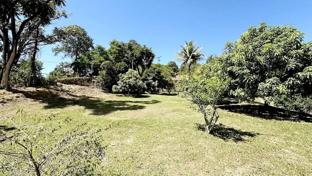 Imagem Chácara com Lago Particular em Itu - Conforto e Natureza em um Só Lugar