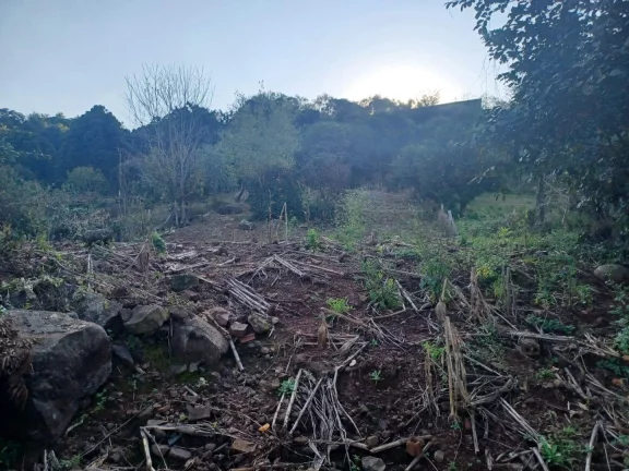 Imagem Terreno para Venda em Concórdia, Santa Cruz