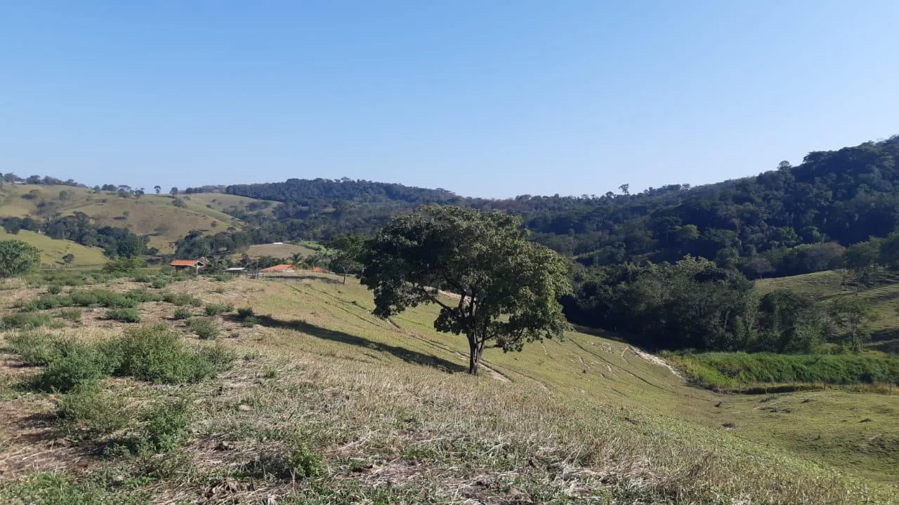Imagem FAZENDA À VENDA - SÃO GONÇALO DO PARÁ 120 hectares de terra