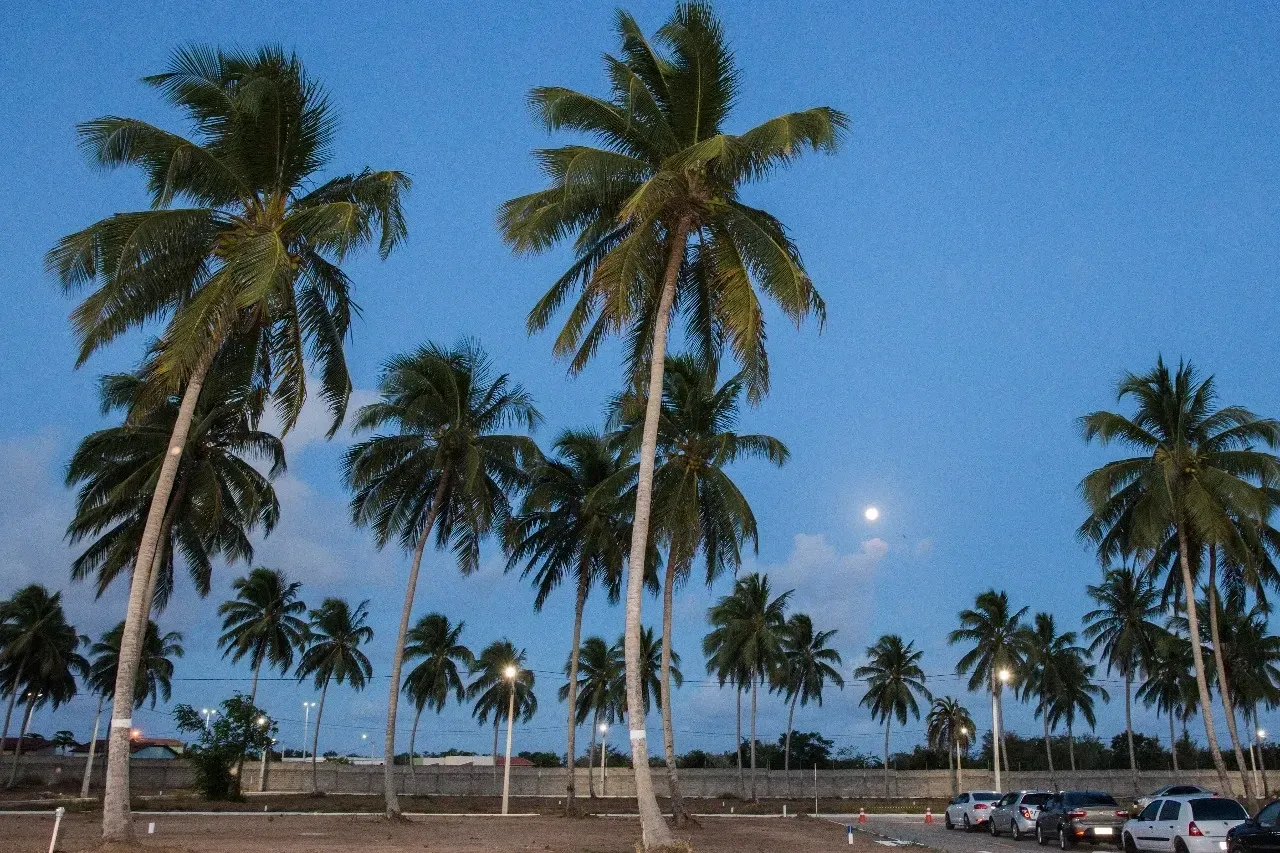 Imagem Casa de Condomínio com 5 Quartos à Venda, 200 m² em Cajupiranga - Parnamirim