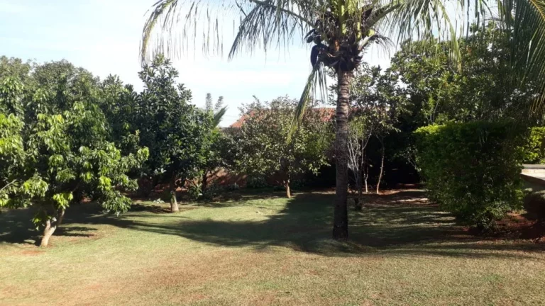 Imagem Chácara à venda  Quinta da Bela Olinda  Bauru/SP  888m²