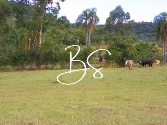 Imagem SITIO RURAL em NOVA PETRÓPOLIS - RS, Linha Temerária