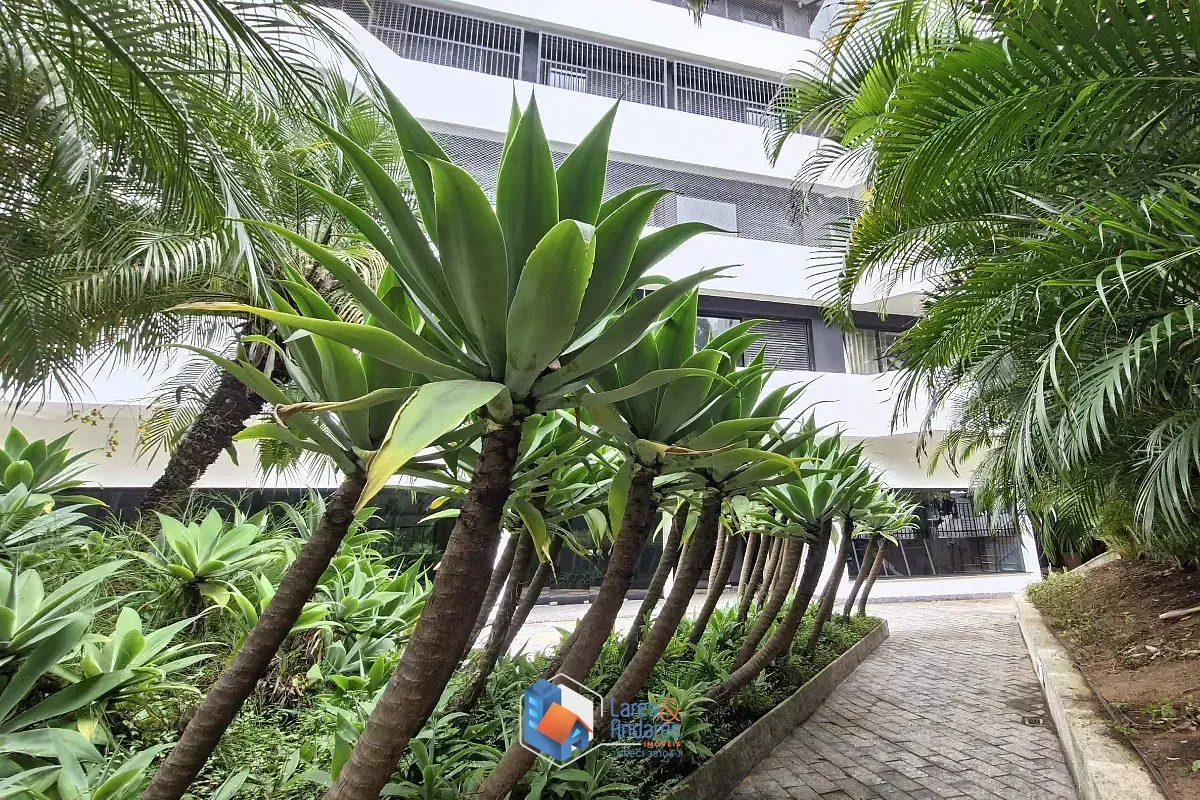 Imagem Apartamento para venda em Morumbi com 3 quartos, sendo 1 suíte, 185m²
