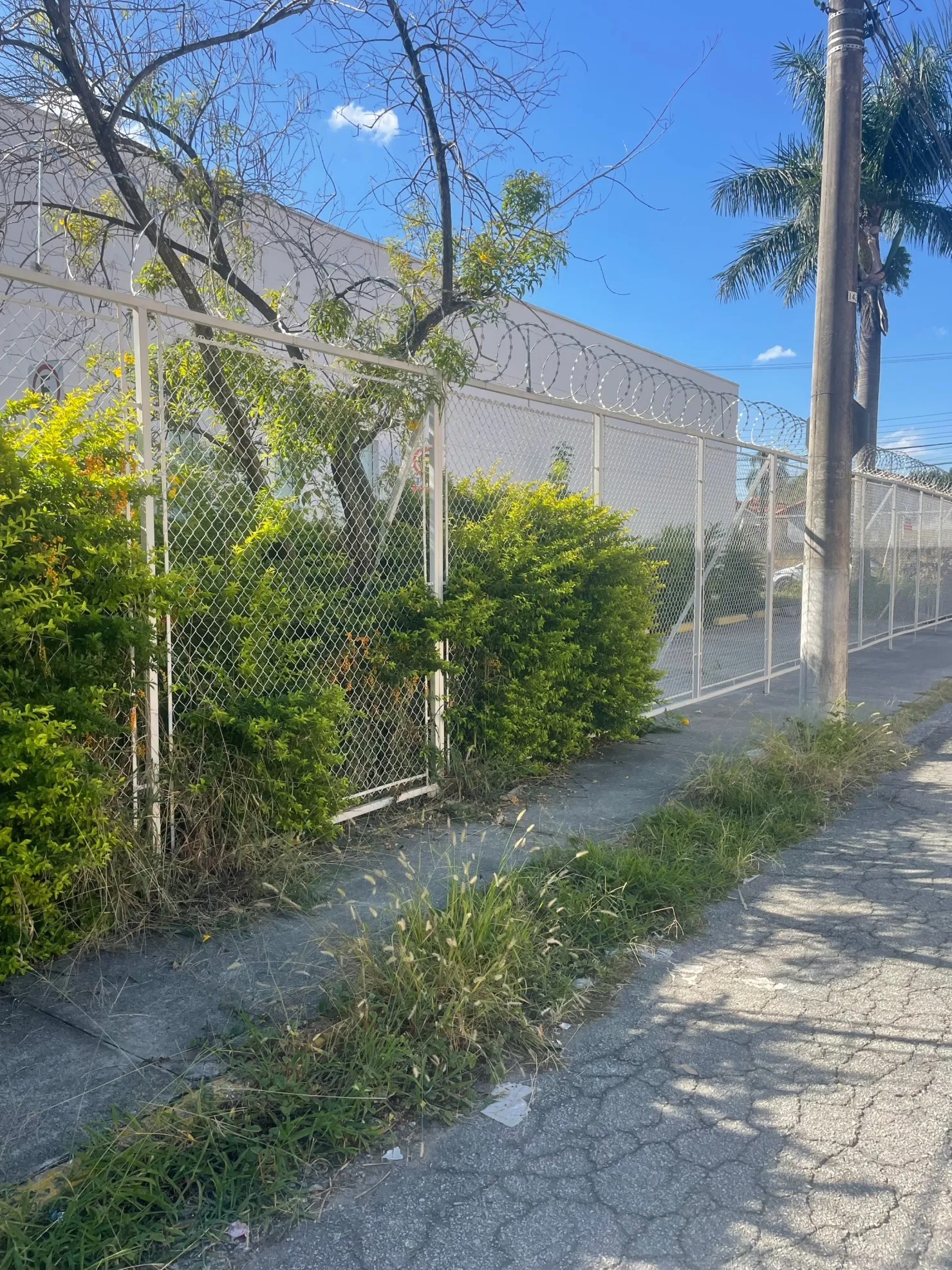 Imagem Comercial para Locação 8 Vagas, 500M², Loteamento João Tamborindeguy Fernandes, Pindamonhangaba - SP