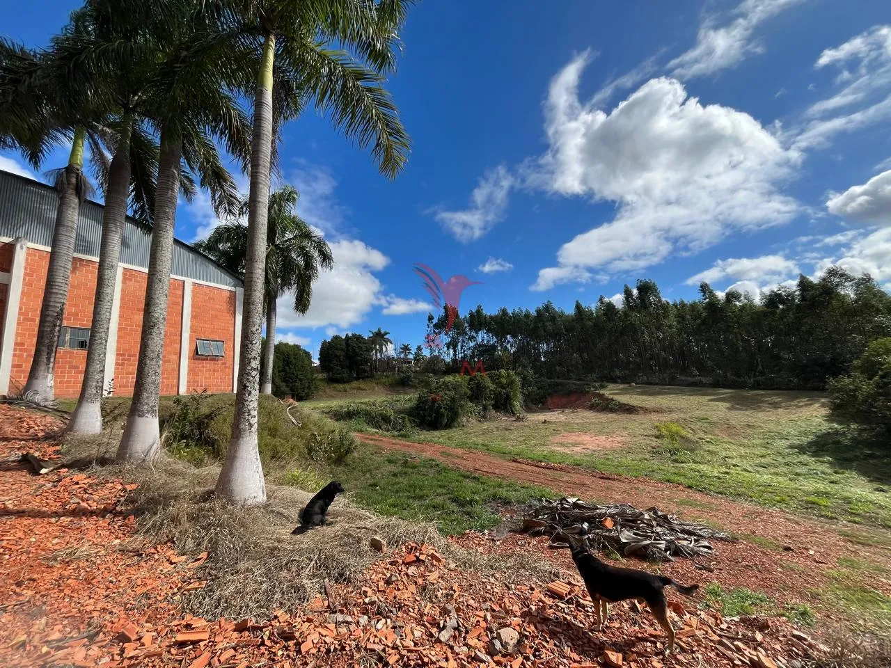Imagem Área Industrial a venda em Itu/SP com cinco Galpões Industriais
