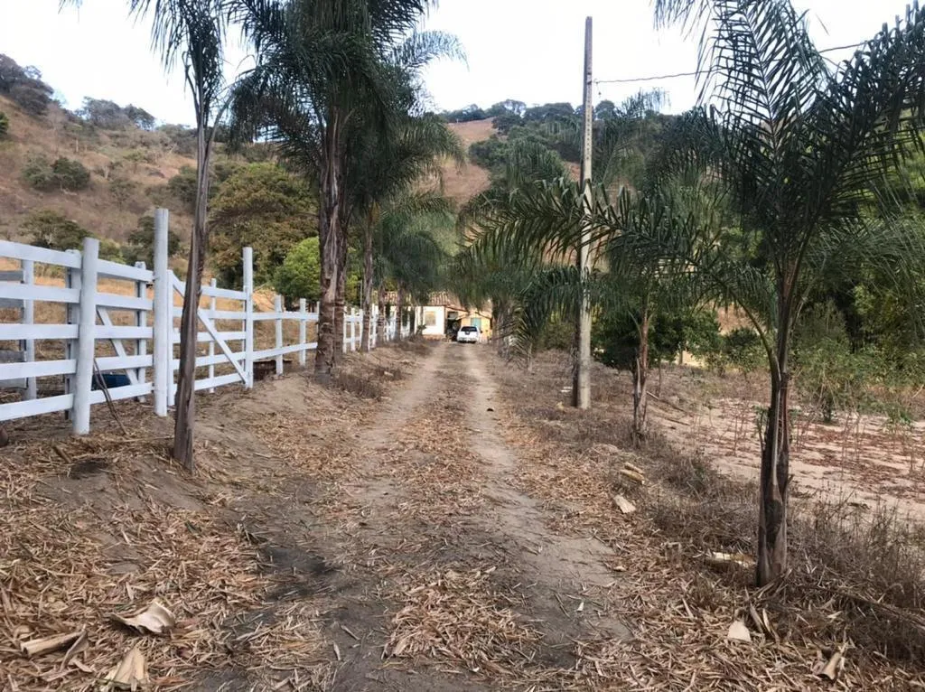 Imagem Sítio Maravilhoso à Venda em Bonfim/MG, com 9 hectares de terra