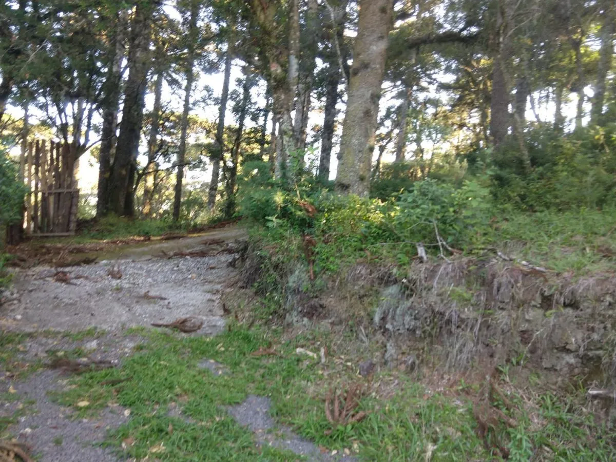Imagem Terreno para Venda em São Francisco de Paula / RS