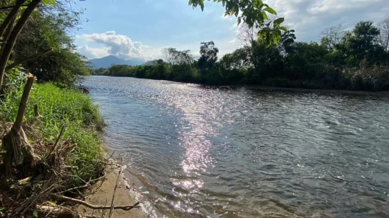Imagem Chácara para Venda em Antonina, Cachoeira, 3 dormitórios, 1 banheiro