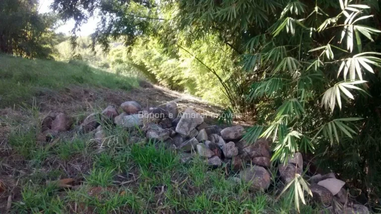 Imagem Imóvel