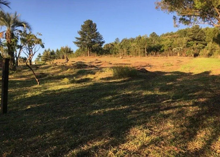 Imagem Terreno em Vila Nova