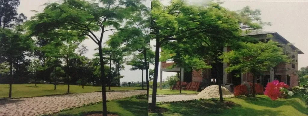Imagem Casa com Potencial Incrível em Terreno de 8.900m² - Área Construída de 650m², Mini Lago e Muito Mais!