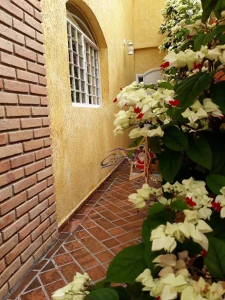 Imagem Marvilhoso Sobrado vende Butantã