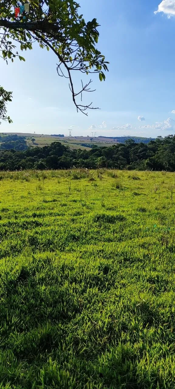 Imagem Sítio a venda em Itapetininga SP