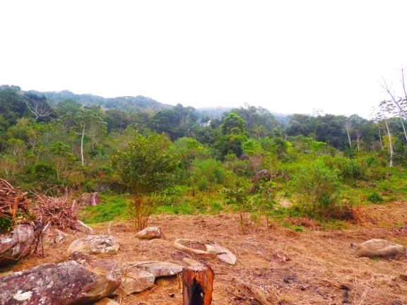 Imagem Terreno à venda em Garopaba-SC, bairro Macacu, 46.578,61m², com vista para Lagoa e Mar!