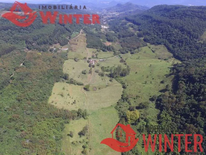 Imagem Fazenda de 61 hectares na cidade de Linha Nova.