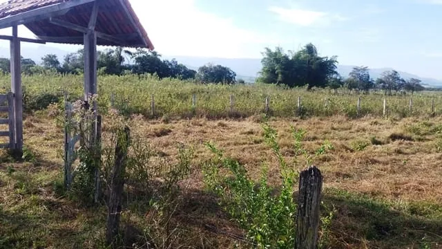 Imagem Chácara à venda 2000M², Cruz Pequena, Pindamonhangaba - SP