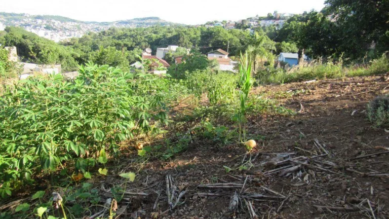 Imagem Terreno para Venda em Concórdia, Petrópolis