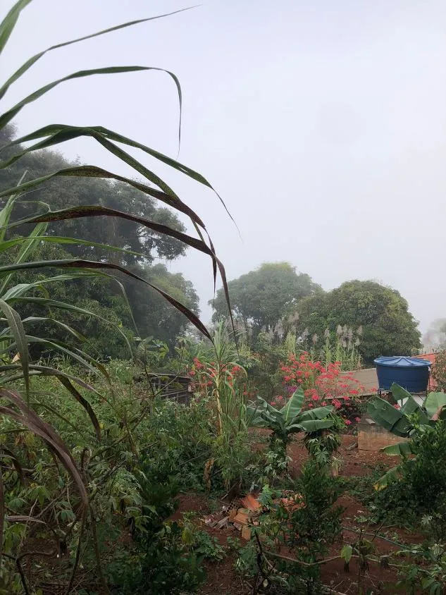 Imagem CHÁCARA À VENDA EM ITAGUARA - MG Área Total: 1.000 m²