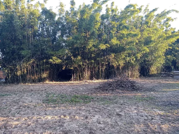 Imagem Sítio com 6.384,42m², Cabana 70m², Condominio Fechado, Morro Grande/Viamão.