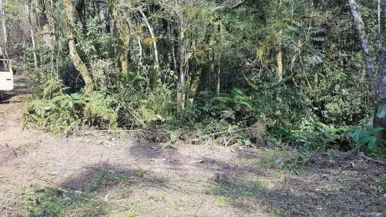 Imagem Área Rural para formar Chácara