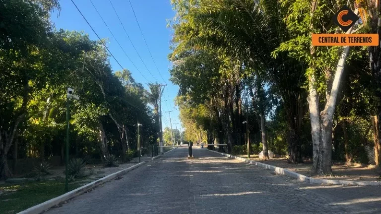 Imagem RESERVA BYOM