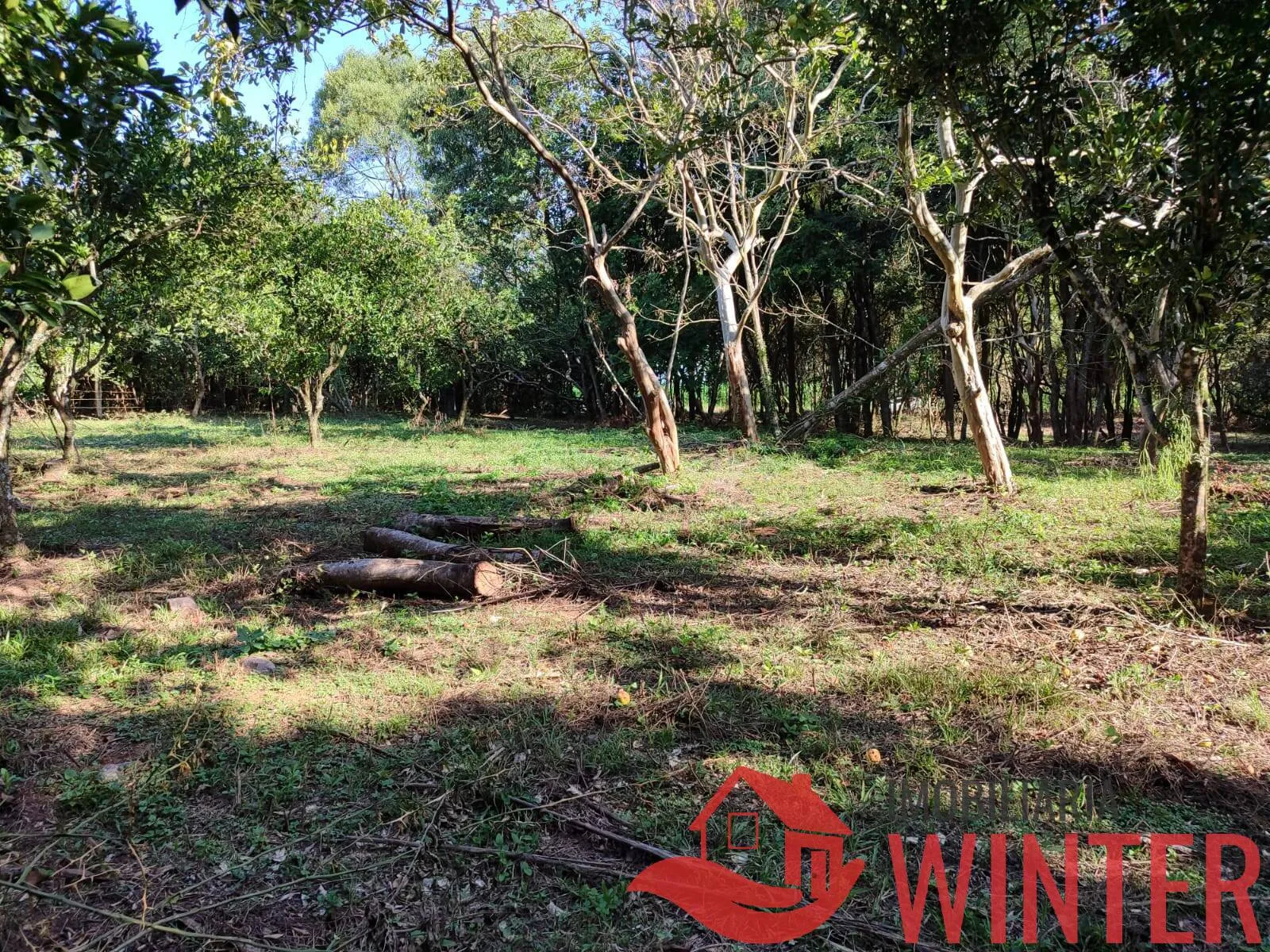 Imagem Área de terras plana com 4.800,00m² em Morro São Pedro, Bom Princípio.