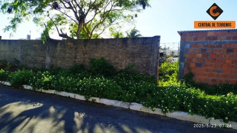 Imagem TERRENO NO MIRAGEM