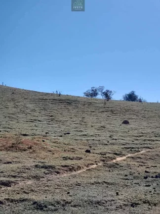 Imagem Terreno incrível para criação de animais e plantio