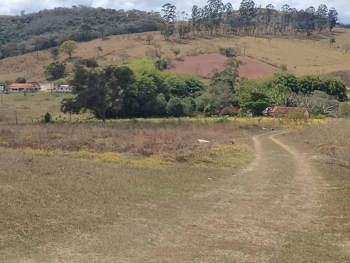 Imagem Vendo um excelente sítio em Piedade dos Gerais/MG, com 5,6 hectares (56.000 m²)