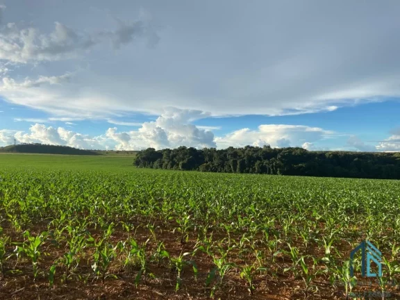 Imagem Fazenda Anápolis Goiás-GO Grande Potencial para Pecuária, Agricultura, Loteamento e Mineração