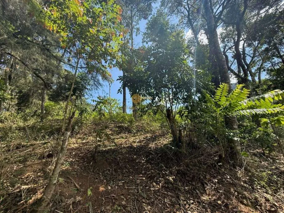 Imagem Terreno para Venda em Teresópolis / RJ no bairro Granja Guarani