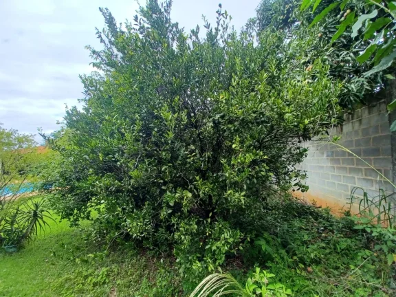 Imagem Casa com 04 dormitórios, sendo 01 suíte à venda no Condomínio Village da Serra!