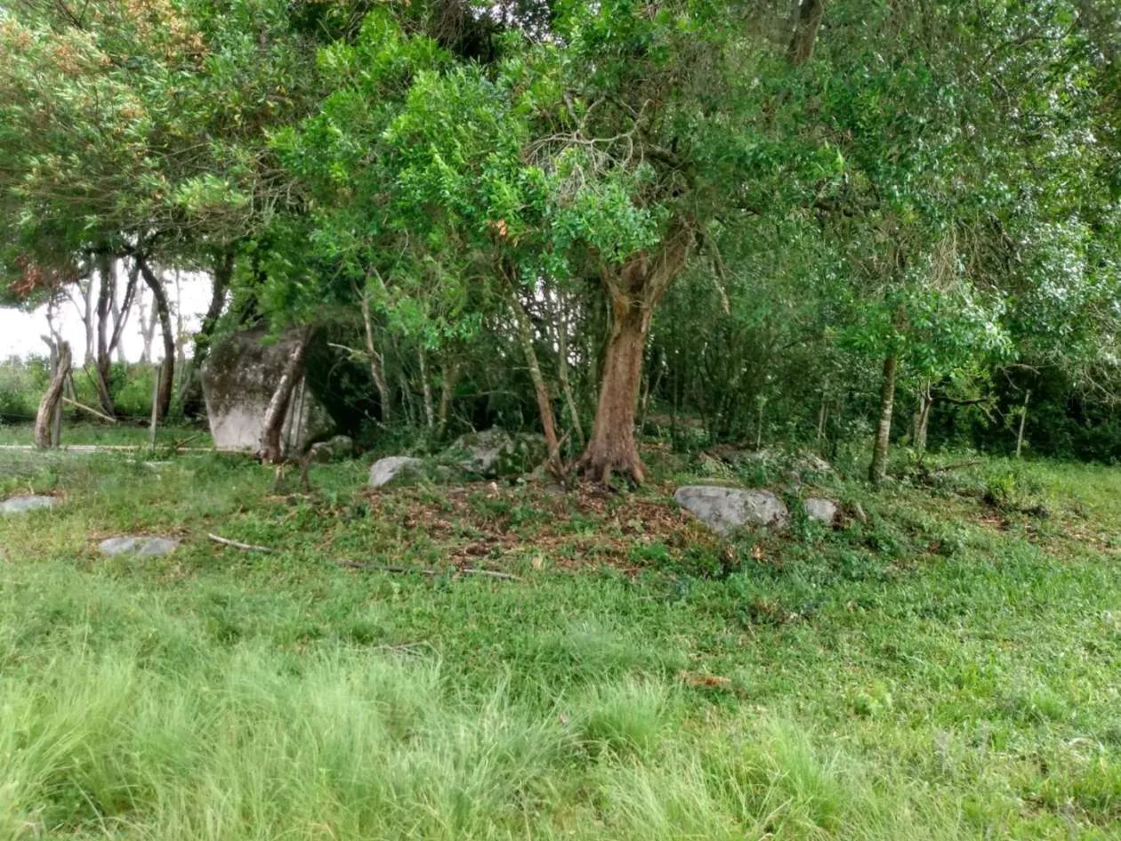 Imagem Sítio para Venda em Piratini, zona rural, 1 dormitório, 1 banheiro