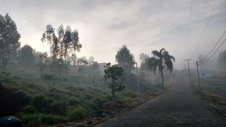 Imagem Terreno para Venda em Portão / RS
