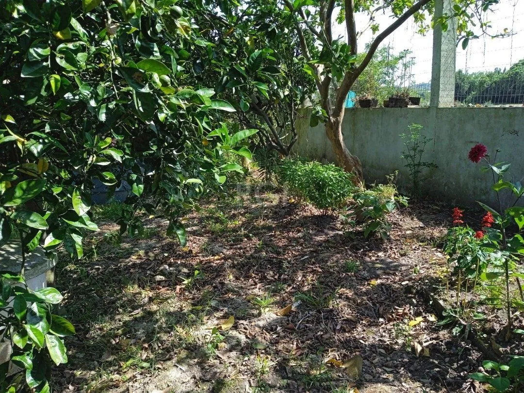 Imagem Casa para Venda - 72m², 2 dormitórios, sendo 2 suites, Lageado