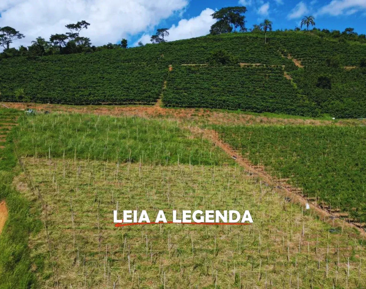 Imagem Imóvel