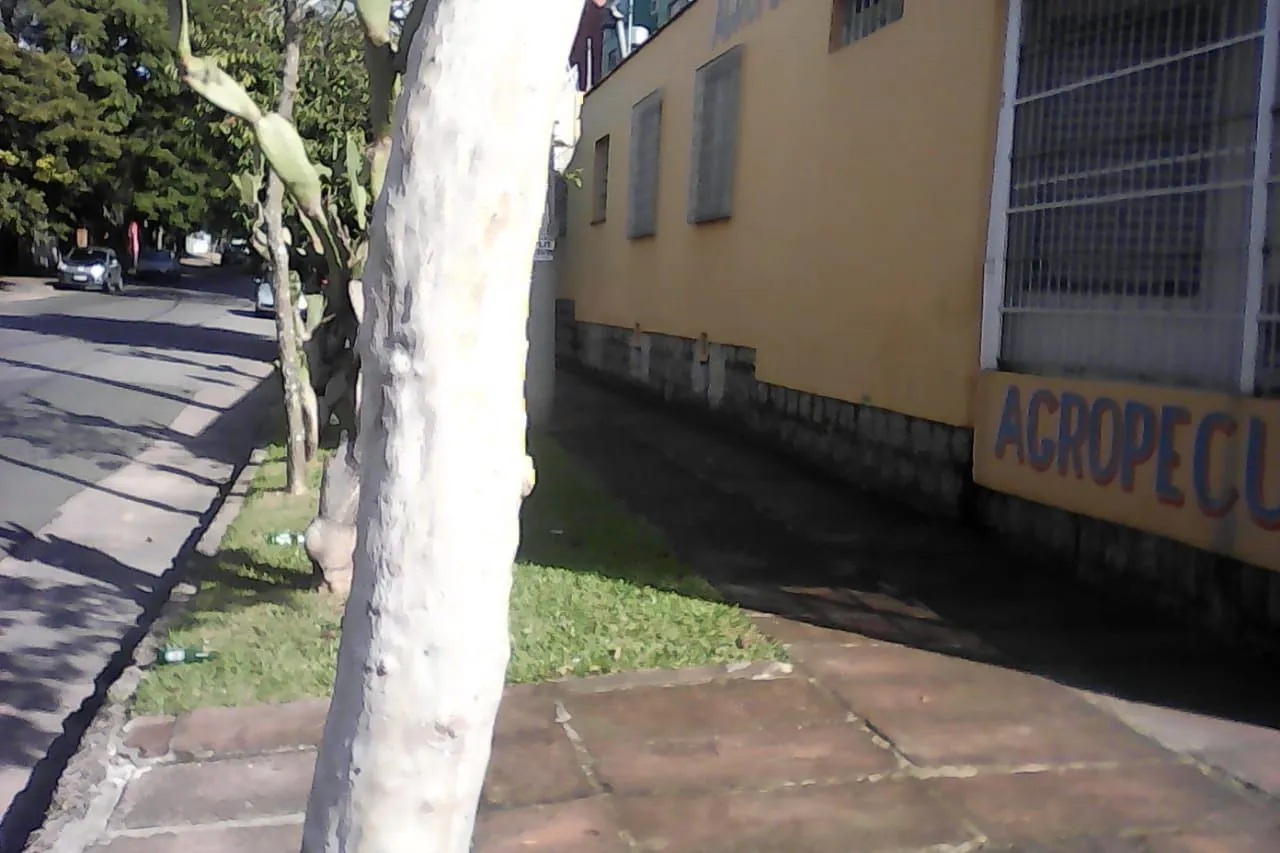 Imagem Casa para Venda - 300m², 3 dormitórios, 2 vagas - Partenon