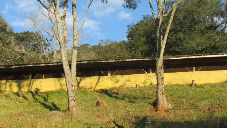 Imagem Área Agrícola para Venda em Ipumirim, Centro