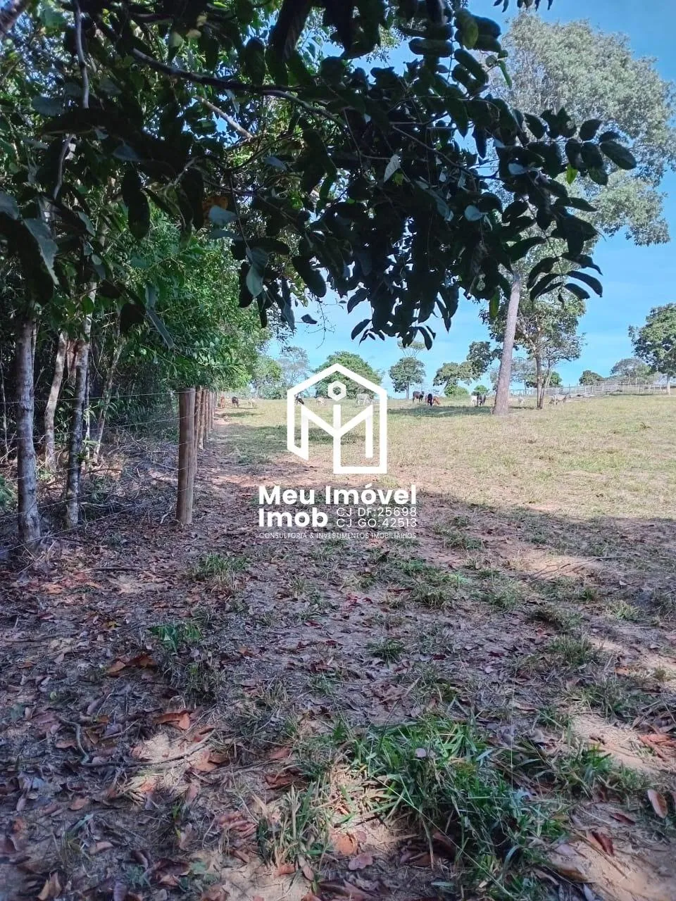 Imagem Fazenda 3 Quartos 1 Suíte 3 Vagas 200m² Luziânia/GO