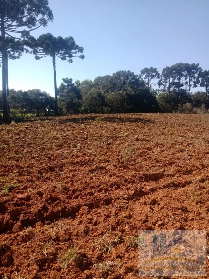 Imagem Terreno para Venda em São José dos Pinhais, Campo Largo da Roseira