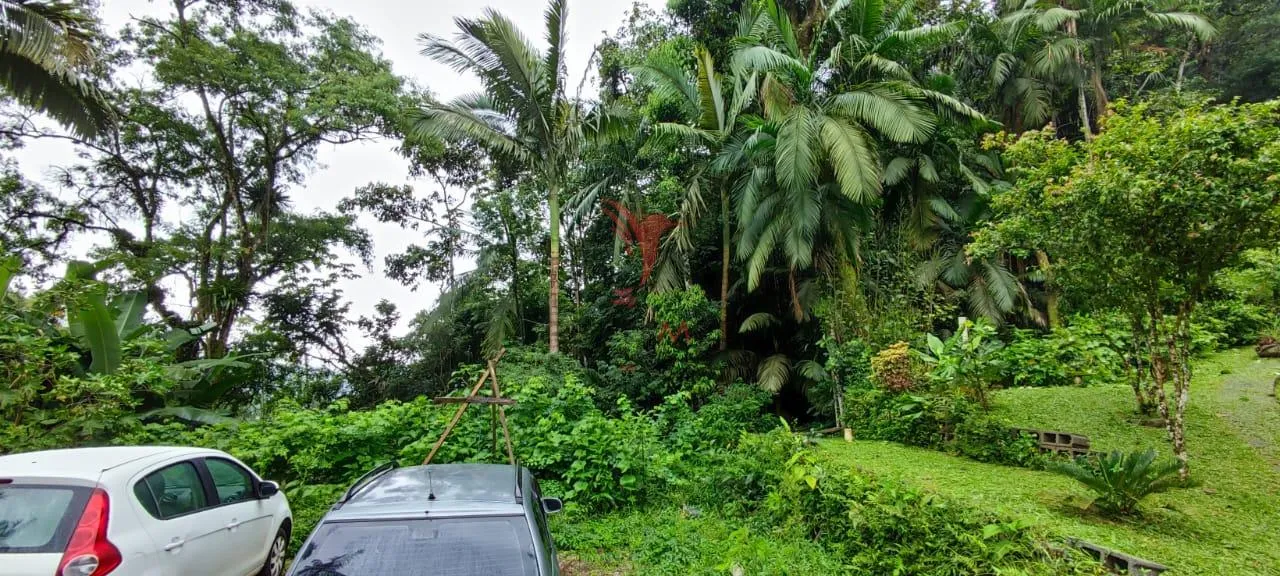 Imagem SITIO EM BLUMENAU, DOCUMENTAÇÃO TUDO OK ESTRUTURA DA CASA COM 8 CAMINHOES DE CONCRETO