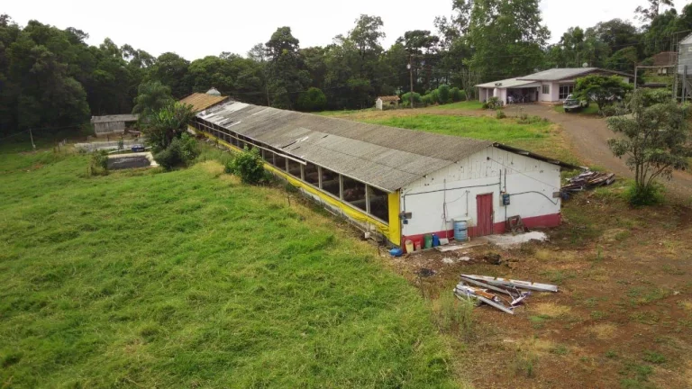 Imagem Área Agrícola para Venda em Concórdia, Interior